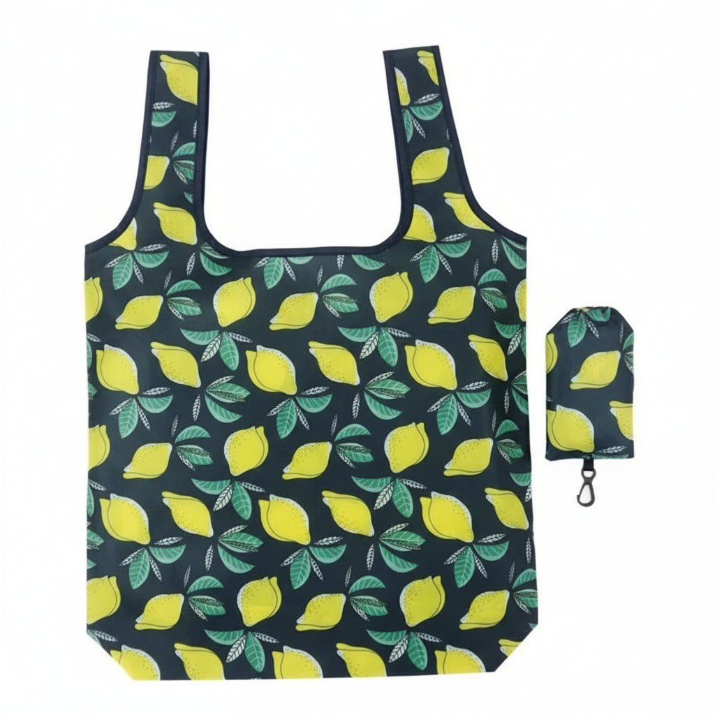 Reusable Foldable Storage Bags