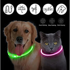 Rechargeable LED Collar
