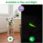 Rechargeable LED Collar