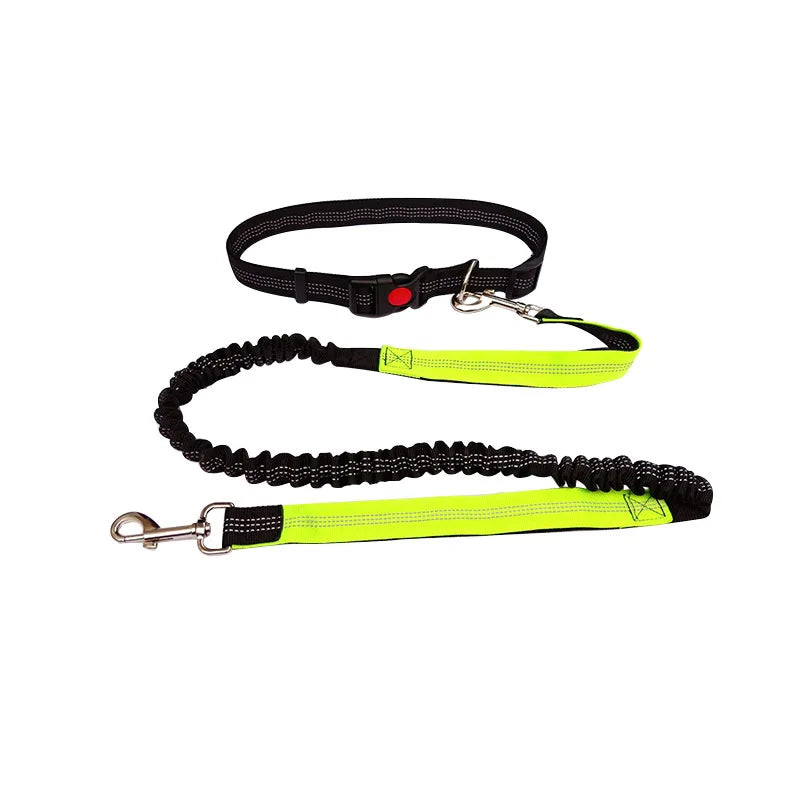 Hands-Free Dog Leash with Waist and Chest Straps
