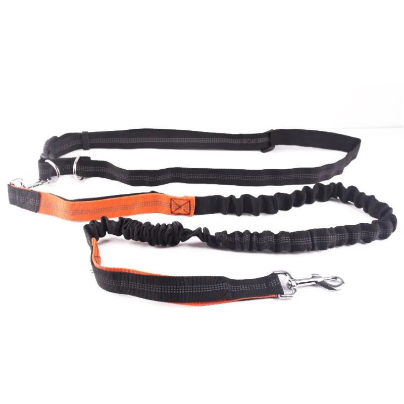 Hands-Free Dog Leash with Waist and Chest Straps