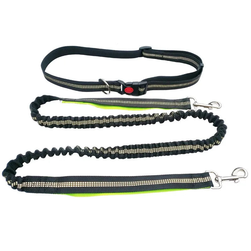 Hands-Free Dog Leash with Waist and Chest Straps