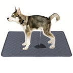 Washable Reusable Pet Pee Pad