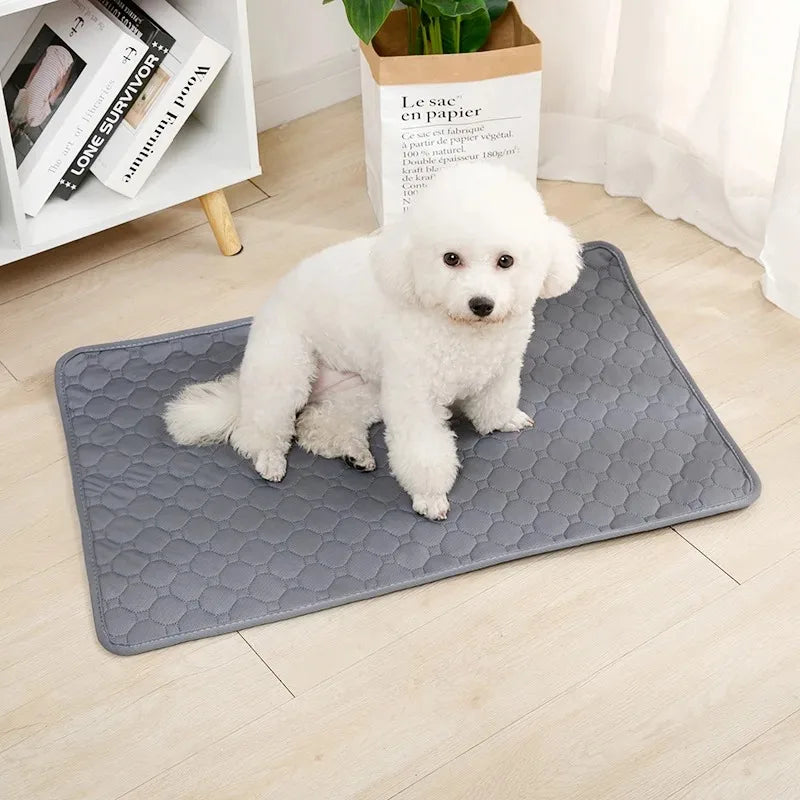 Washable Reusable Pet Pee Pad
