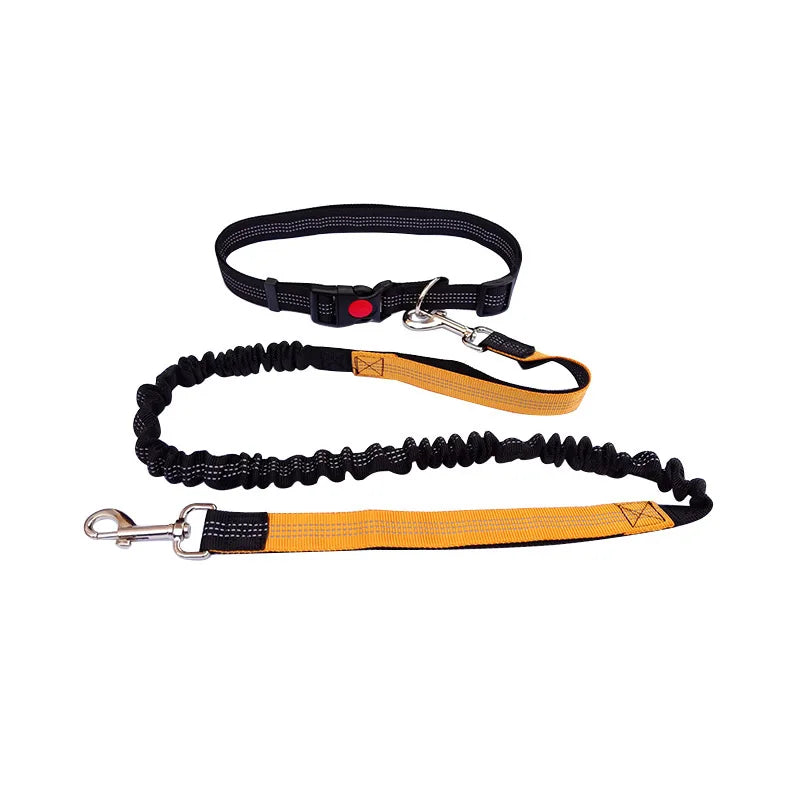 Hands-Free Dog Leash with Waist and Chest Straps