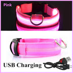 Rechargeable LED Collar