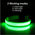Rechargeable LED Collar