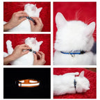 Reflective Breakaway Cat Collar with Bell