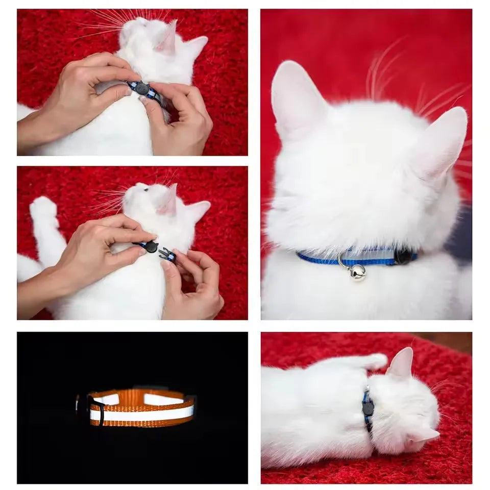 Reflective Breakaway Cat Collar with Bell