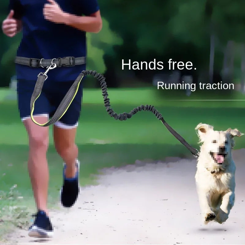 Hands-Free Dog Leash with Waist and Chest Straps