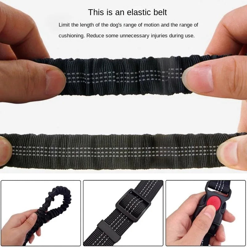 Hands-Free Dog Leash with Waist and Chest Straps