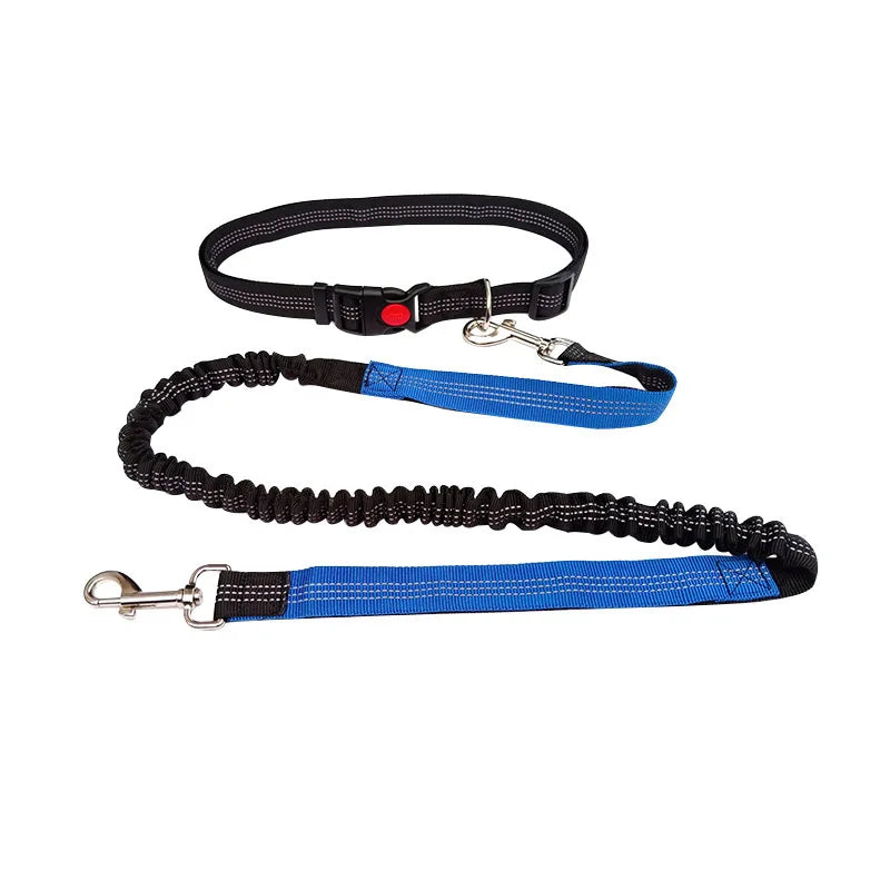Hands-Free Dog Leash with Waist and Chest Straps