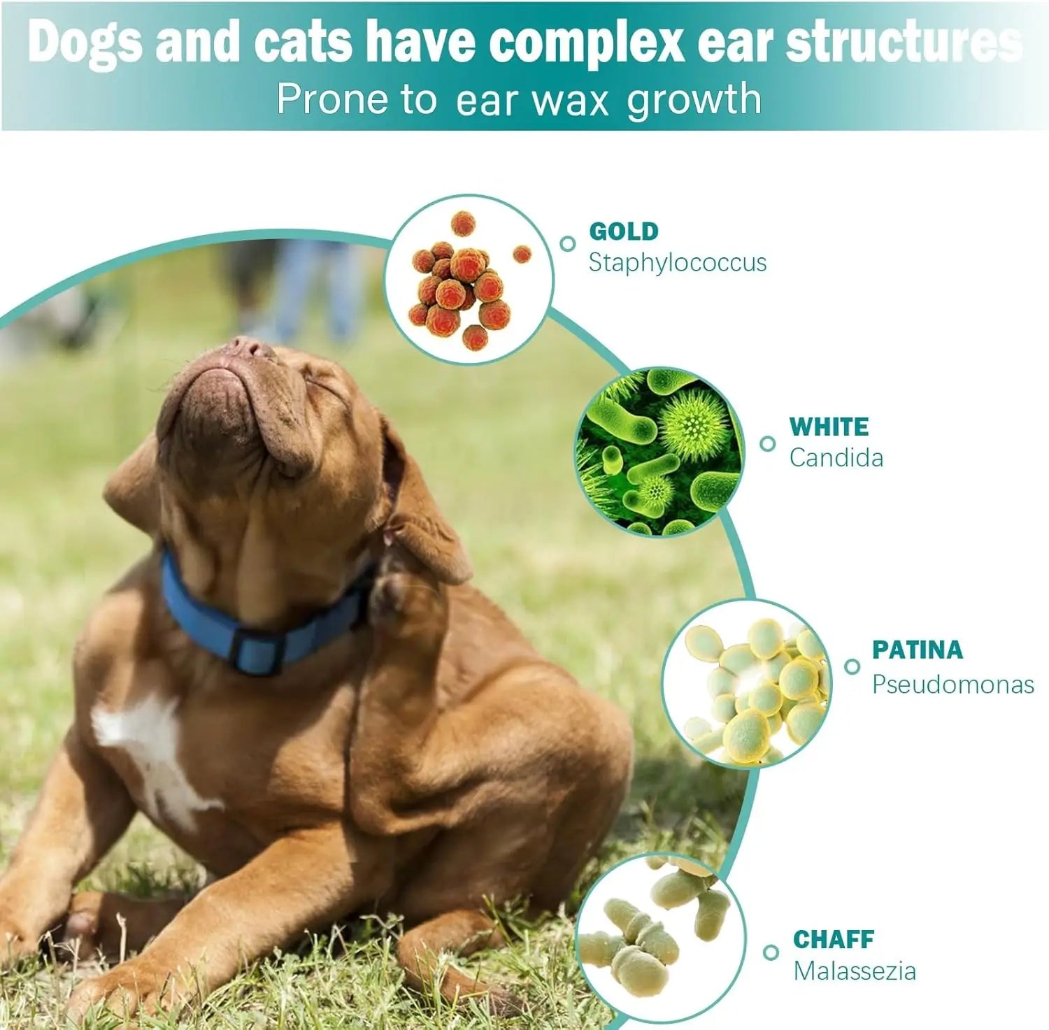 Pet Ear Cleaning Finger Wipes