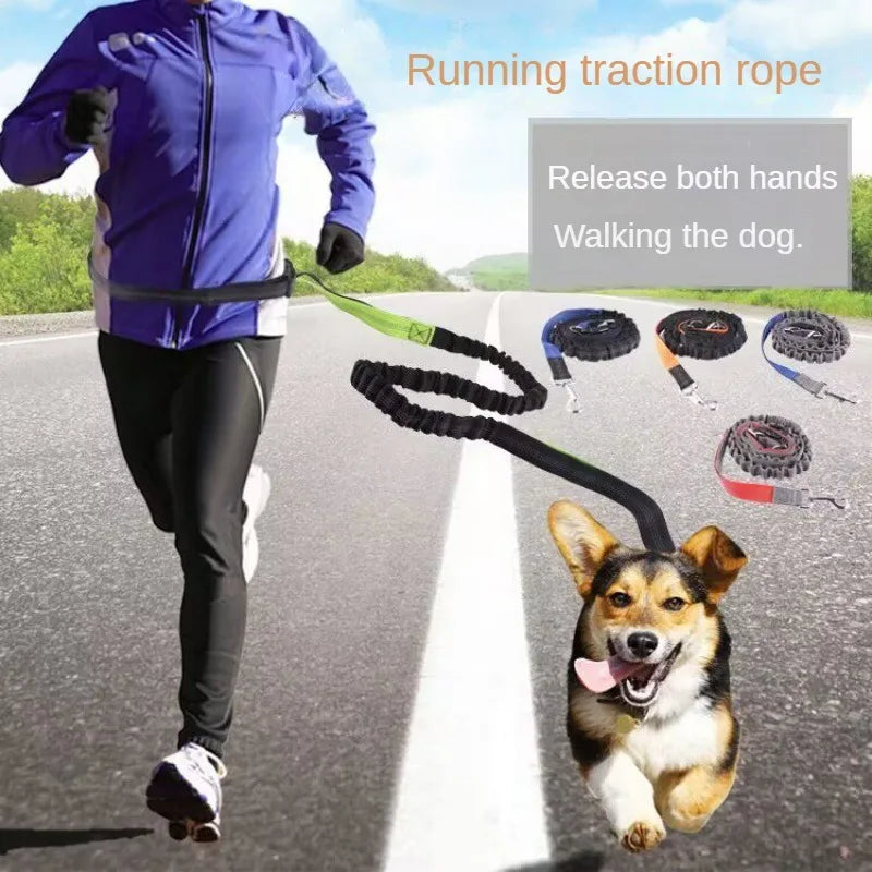 Hands-Free Dog Leash with Waist and Chest Straps